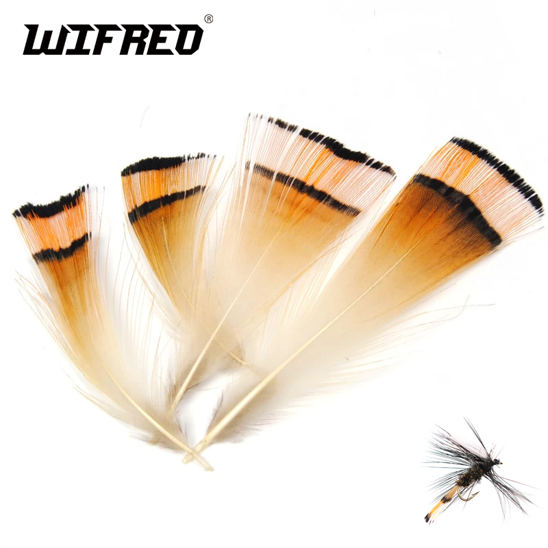 Fishing Equipment Brands - 50PCS colore naturale fagiano dorato testa