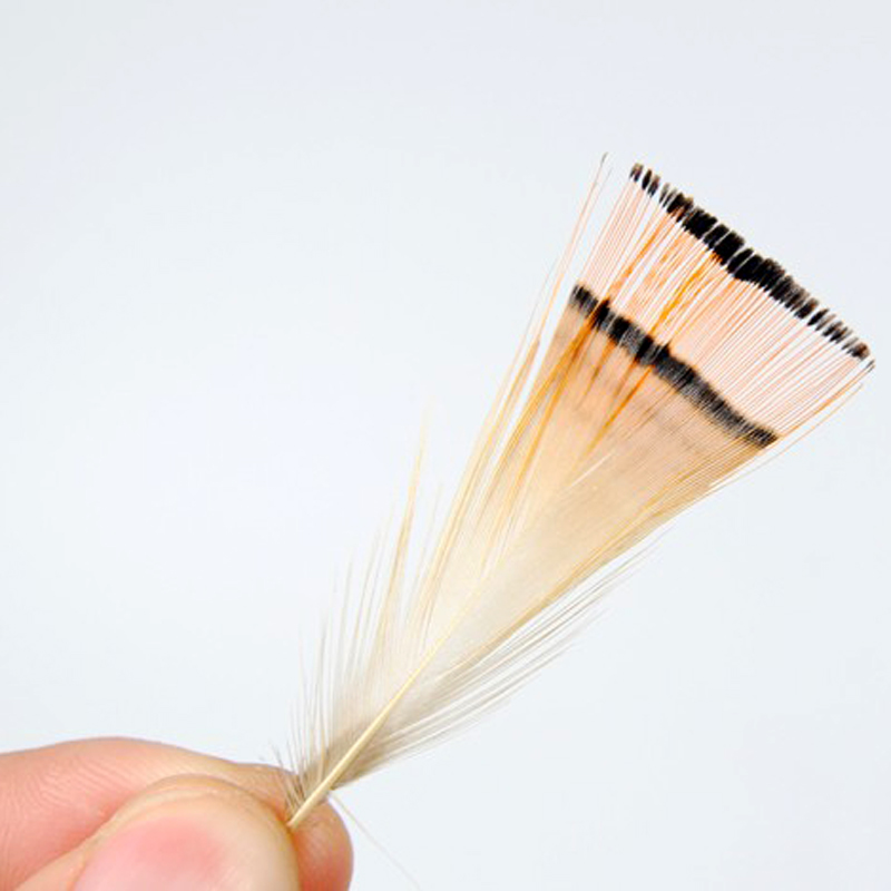 50PCS colore naturale fagiano  - Fishing Equipment Brands recensione e prezzo