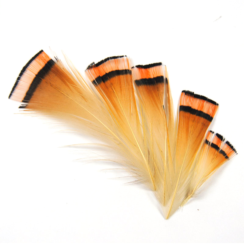 50PCS colore naturale fagiano  - Fishing Equipment Brands recensione e prezzo